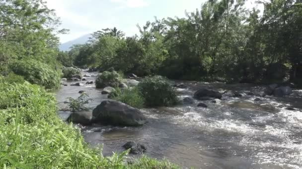 La rivière de montagne profonde après une pluie tropicale, Amazing Riverscape avec une forêt exotique dense poussant sur la rive rocheuse et un cours d'eau rapide. Bali, Indonésie 