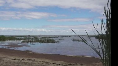 Güneşli yaz günü Finlandiya Körfezi taşlı sahil panoramik görünümü