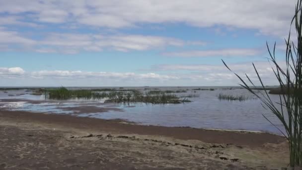 Panoramablick auf die steinige Küste des Golfs von Finnland an sonnigen Sommertagen — Stockvideo