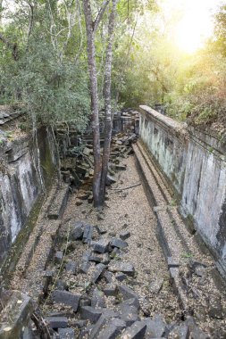 Beng Mealea tapınak harap Koh Ker karmaşık, Siem Reap, Kamboçya