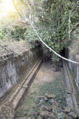 Beng Mealea tapınak harap Koh Ker karmaşık, Siem Reap, Kamboçya