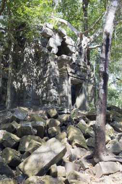 Beng Mealea tapınak harap Koh Ker karmaşık, Siem Reap, Kamboçya