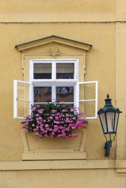Prag. Çiçekli bitki ile dekore edilmiş eski evinde penceresinin