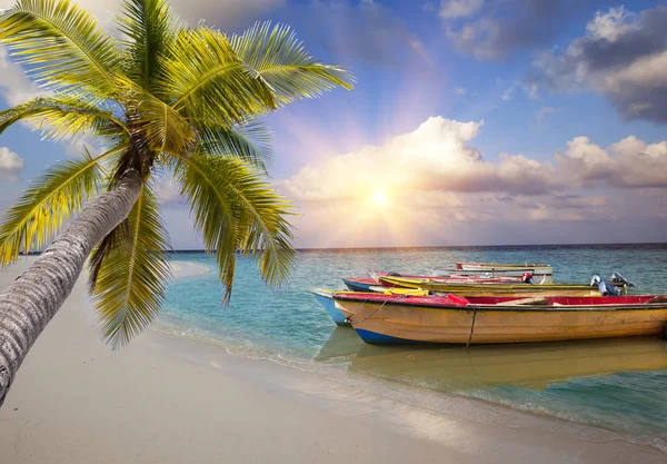 Malediven Helle Holzboote Meer Und Die Palme Hat Sich Über — Stockfoto