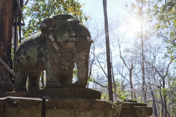 Prasat Damrei Means Elephant Temple Ruin Koh Ker Temple Complex — Stock Photo, Image