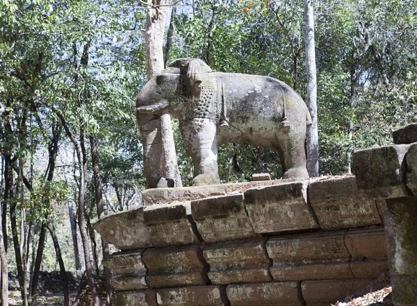 Prasat Damrei Betyder Elefant Tempel Ruin Koh Ker Templet Komplex — Stockfoto