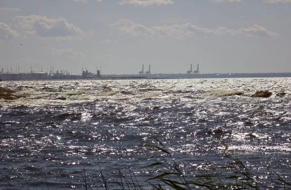 Finského Zálivu Nedaleko Petrohradu Nákladní Terminály — Stock fotografie