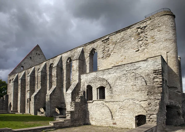 Starożytne Ruiny Klasztoru Brygidy 1436 Rok Regionie Pirita Tallin Estonia — Zdjęcie stockowe
