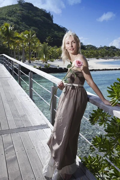 Den Unge Smukke Kvinde Med Rose Træsti Ved Havet Troperne - Stock-foto