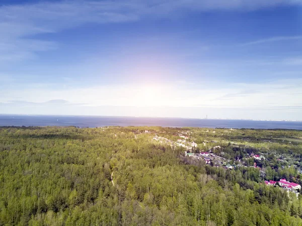 芬兰湾和俄罗斯圣彼得堡附近村庄的落叶木的无人机观 — 图库照片