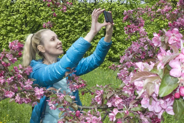 young beautiful woman with a long fair hair takes the picture on the mobile phone near the blossoming apple tree