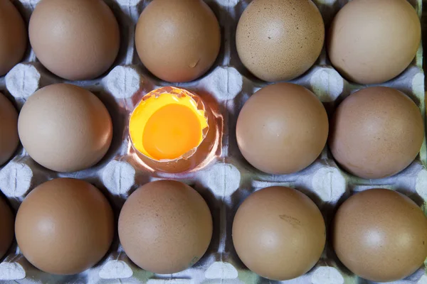 eggs, one egg  is opened, the yolk is visible and  illuminate