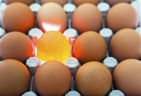 eggs, one egg  is illuminated