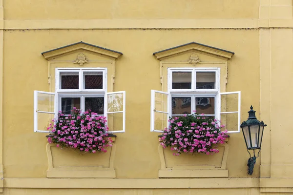 Prague Window Old House Decorated Flowering Plant — Stock Photo, Image