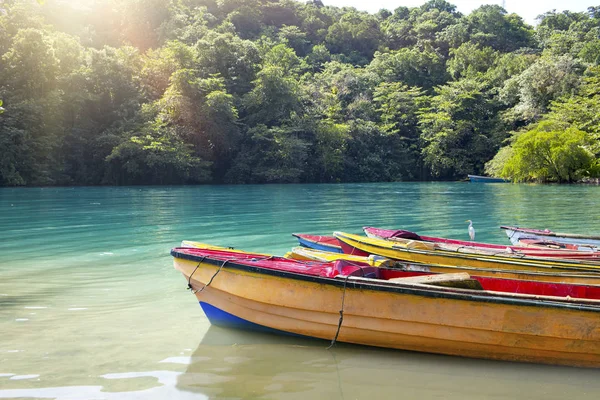 Nationella Båtar Blå Lagunen Jamaica — Stockfoto