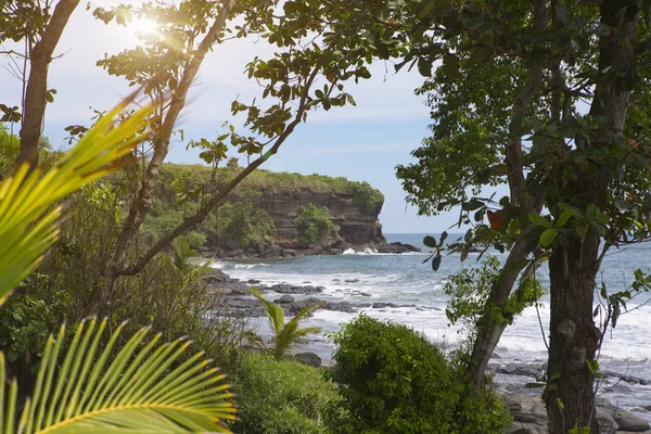 Bali Indonesië Strand Aan Zee Met Tropische Planten — Stockfoto