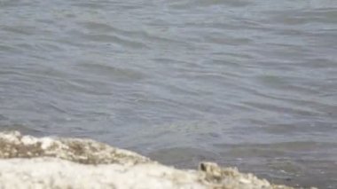 Şemsiye ve şezlong ile tropikal tatil kum plajındaki sıcak denizin dalgaları çalıştırmak