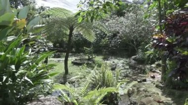 Bali kelebek Park.Park panorama güneşli gün