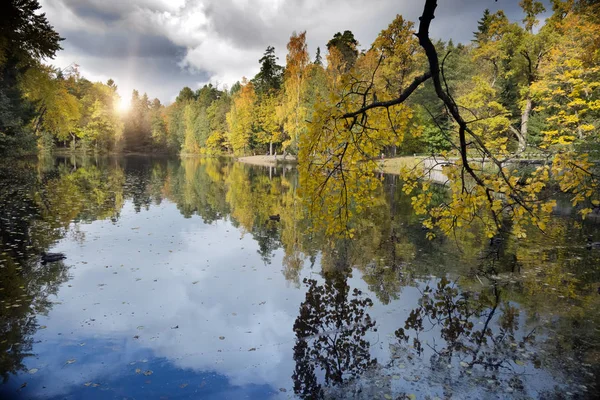 Bright Autumn Wood Reflected Lake — Stock Photo, Image