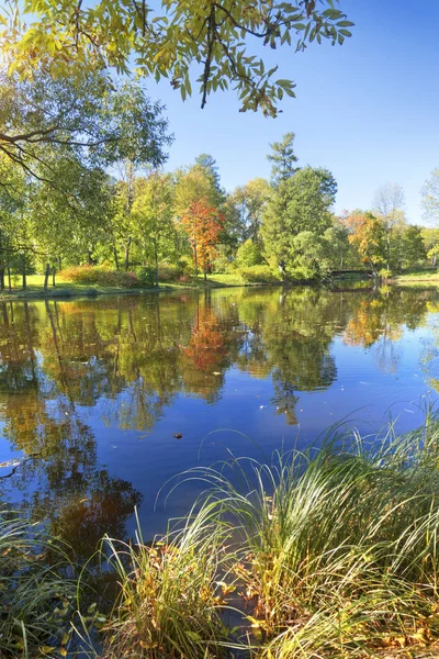 Bright Autumn Wood Reflected Lake — Stock Photo, Image