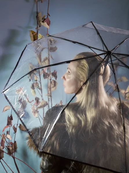Alatt Egy Átlátszó Esernyő Őszi Levelek — Stock Fotó