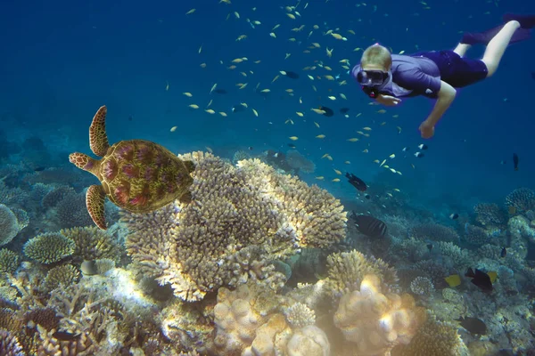 Maldivas Mergulhador Oceano Peixes Tropicais Tartaruga Corais — Fotografia de Stock