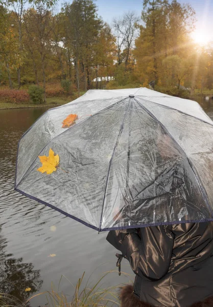 Kvinna Transparent Paraply Mulen Höstdag Den Sjön Shor — Stockfoto