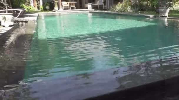 晴れた日に インドネシア バリ島の青い空のプールとトロピカル ガーデンのビュー — ストック動画