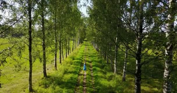 View Level Tops Trees Young Woman Long Fair Hair Blue — Stock Video