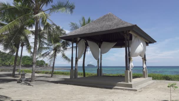 在海滨度假村热带海滩岸边的棕榈树中拍摄的阿伯 — 图库视频影像