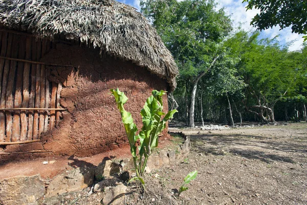 Археологический Памятник Майя Чичен Ица Юкатане Мексика — стоковое фото