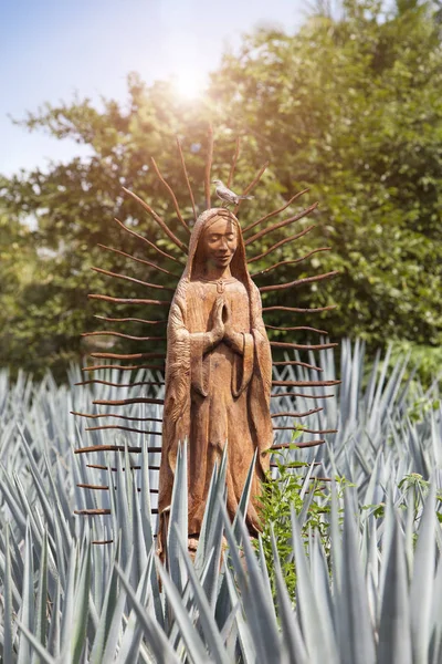 Statue Blessed Virgin Mary Field Agave Mexico — Stock Photo, Image