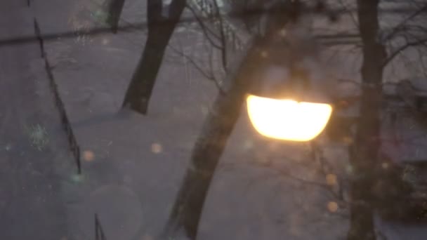 新的一年。在降雪过程中, 透过玻璃可以看到路灯, 其中反映了装饰好的新的合适圣诞树 — 图库视频影像