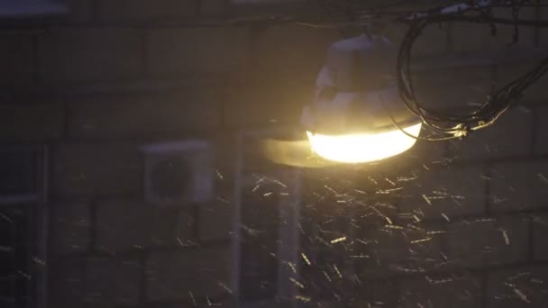 Straat lamp's nachts tijdens een sneeuwstorm — Stockvideo