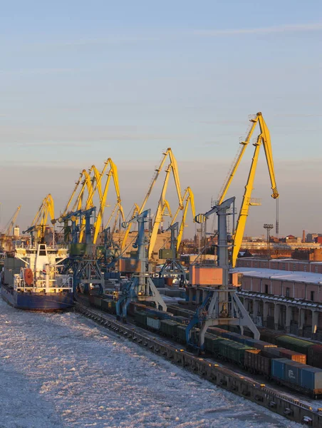 View Gulf Finland Covered Ice Petersburg Seaport Russia — Stock Photo, Image