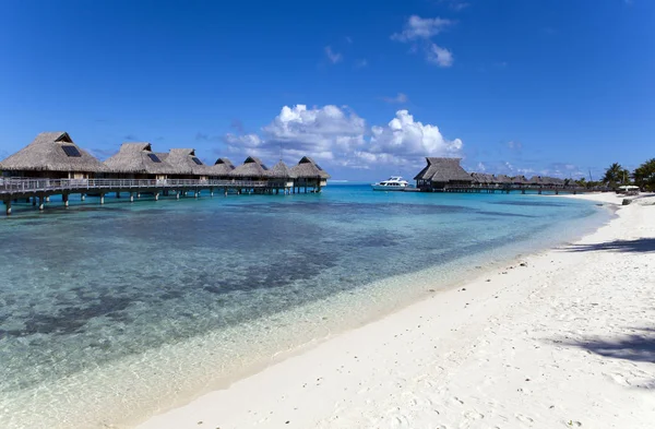 Typiskt Polynesiskt Landskap Små Hus Vatten — Stockfoto