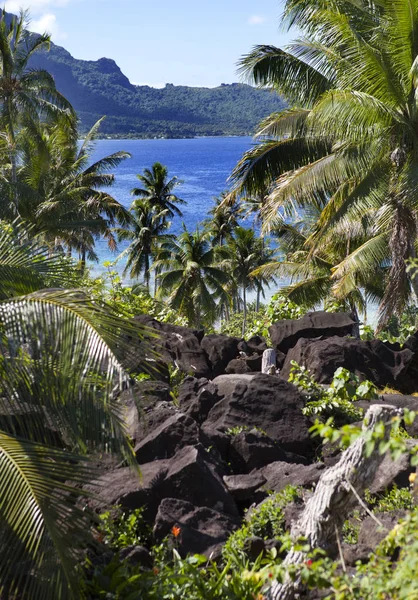 Laguna Blu Dell Isola Bora Bora Polinesia Montagne Mare Palme — Foto Stock