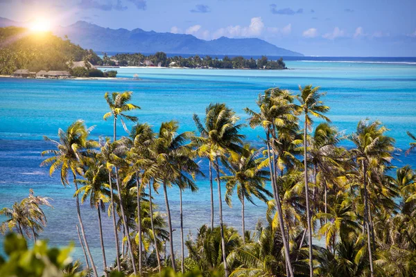 Blue Lagoon Island Bora Bora Polynesia Mountains Sea Palm Trees — Stock Photo, Image