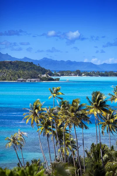 Modrá Laguna Ostrov Bora Bora Polynésie Hory Moře Palmy Stromy — Stock fotografie