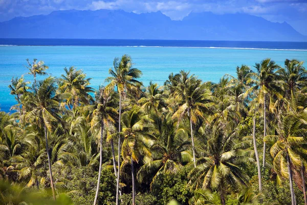 Laguna Blu Dell Isola Bora Bora Polinesia Montagne Mare Palme — Foto Stock