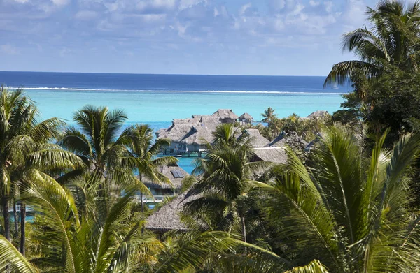 Lagune Bleue Île Bora Bora Polynésie Une Vue Hauteur Sur — Photo