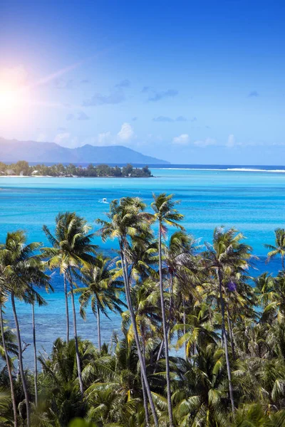 Blå Lagunen Bora Bora Polynesien Bergen Havet Palmer — Stockfoto