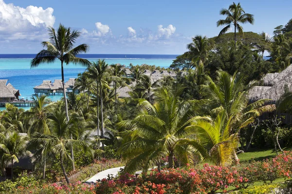 Blue Lagoon Island Bora Bora Polynesia View Height Palm Trees — Stock Photo, Image