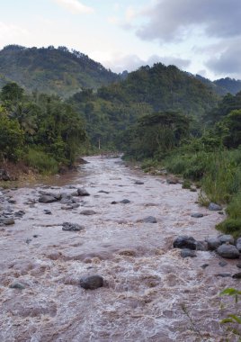 Jamaika. bir yağmur sonra nehir