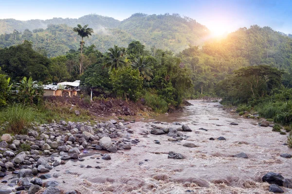 Ямайка Река После Дождя — стоковое фото