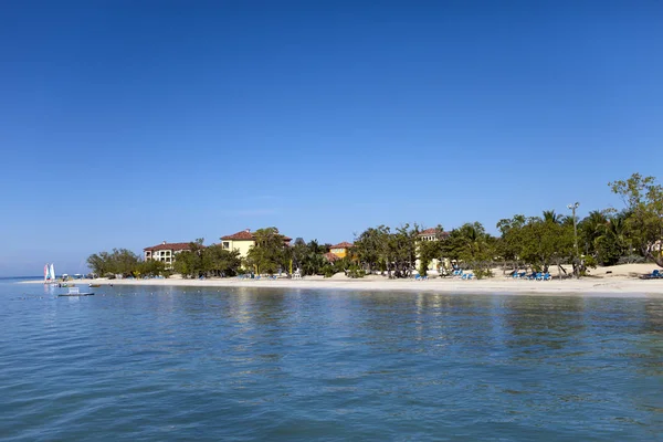 Jamaica Sandy Kust Van Een Baai Palm Tree — Stockfoto