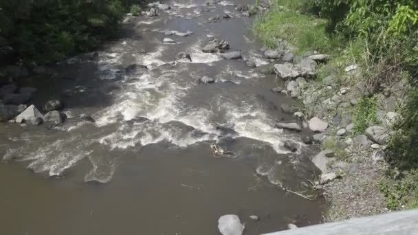 Hluboká horská řeka po tropické deště, úžasný riverscape s hustou exotické lesní rostoucí na skalnatém břehu a rychlé vodního toku. Bali, Indonésie — Stock video