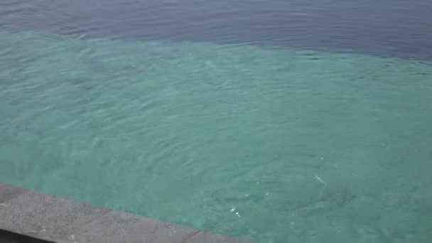 Blick vom Pool auf Reisterrassen von Berg und Bauernhaus. bali, indonesien — Stockvideo