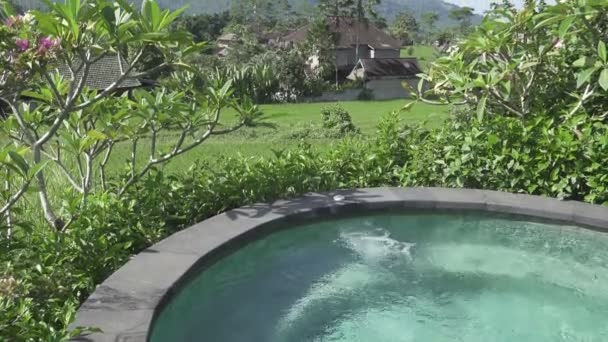 Uitzicht vanaf het zwembad op de rijstvelden van Berg en huis van boeren. Bali, Indonesië — Stockvideo