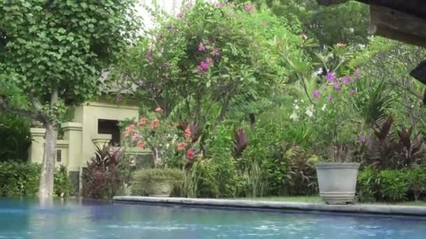 Bewegt sich die Kamera auf einem tropischen Garten mit dem Pool längs der blühenden Bäume. bali. Indonesien. — Stockvideo